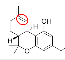 HHC vs THC: What's the Difference?